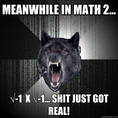 Meanwhile in math 2... √-1  x √-1... shit just got real!  Insanity Wolf