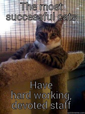 THE MOST SUCCESSFUL CATS HAVE HARD WORKING, DEVOTED STAFF The Most Interesting Cat in the World