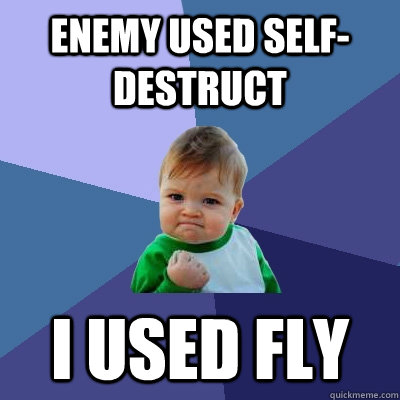 Enemy used self-destruct I used fly - Enemy used self-destruct I used fly  Success Kid