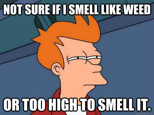 Not sure if I smell like weed or too high to smell it. - Not sure if I smell like weed or too high to smell it.  Futurama Fry