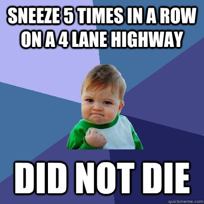 sneeze 5 times in a row on a 4 lane highway did not die  Success Kid