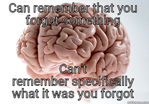 CAN REMEMBER THAT YOU FORGOT SOMETHING CAN'T REMEMBER SPECIFICALLY WHAT IT WAS YOU FORGOT Scumbag Brain