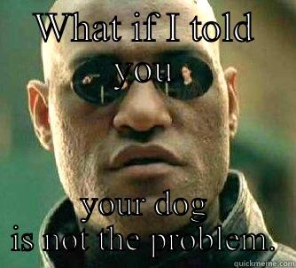 WHAT IF I TOLD YOU YOUR DOG IS NOT THE PROBLEM. Matrix Morpheus