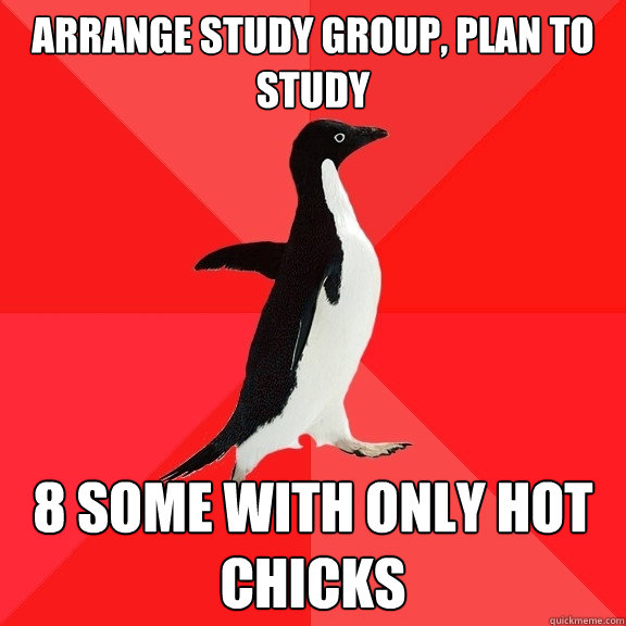 arrange study group, plan to study 8 some with only hot chicks  Socially Awesome Penguin