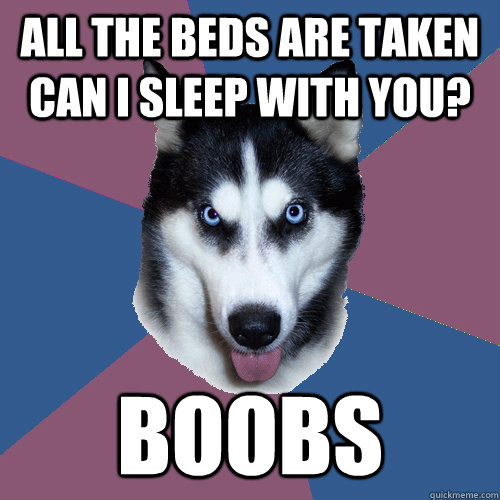 ALL THE BEDS ARE TAKEN CAN I SLEEP WITH YOU? boobs  Creeper Canine