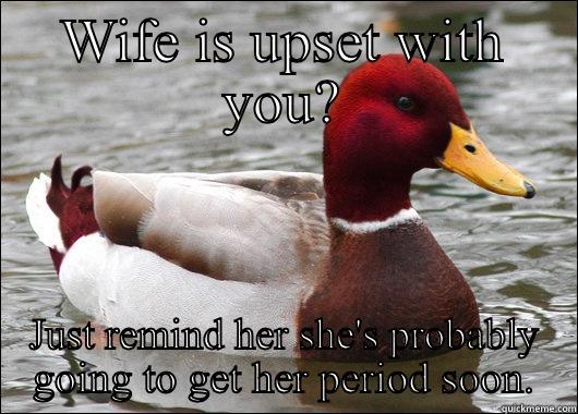 WIFE IS UPSET WITH YOU? JUST REMIND HER SHE'S PROBABLY GOING TO GET HER PERIOD SOON. Malicious Advice Mallard