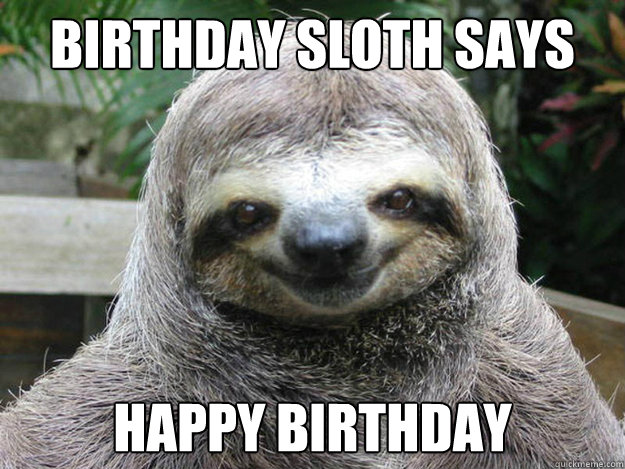 Birthday sloth says Happy Birthday  