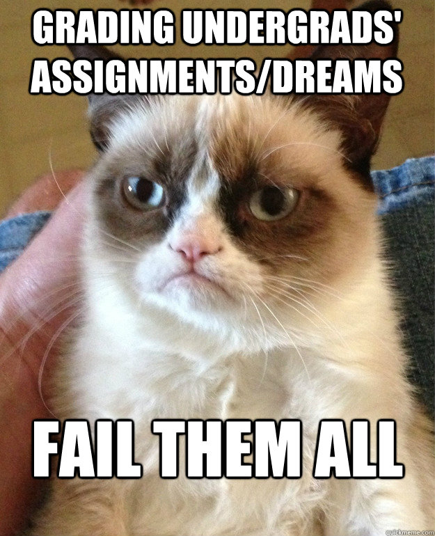 Grading Undergrads' assignments/dreams fail them all  Grumpy Cat