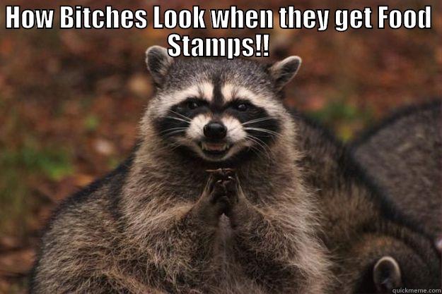 Food Stamps - HOW BITCHES LOOK WHEN THEY GET FOOD STAMPS!!  Evil Plotting Raccoon