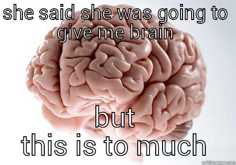 SHE SAID SHE WAS GOING TO GIVE ME BRAIN BUT THIS IS TO MUCH Scumbag Brain