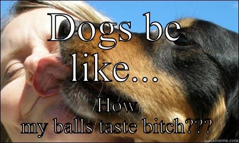 DOGS BE LIKE... HOW MY BALLS TASTE BITCH??? Misc