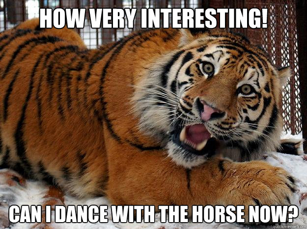 How Very Interesting! Can I dance with the horse now?  Fascinated Tiger