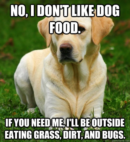 No, I don't like dog food. If you need me, I'll be outside eating grass, dirt, and bugs.  Dog Logic