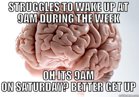 STRUGGLES TO WAKE UP AT 9AM DURING THE WEEK OH ITS 9AM ON SATURDAY? BETTER GET UP Scumbag Brain