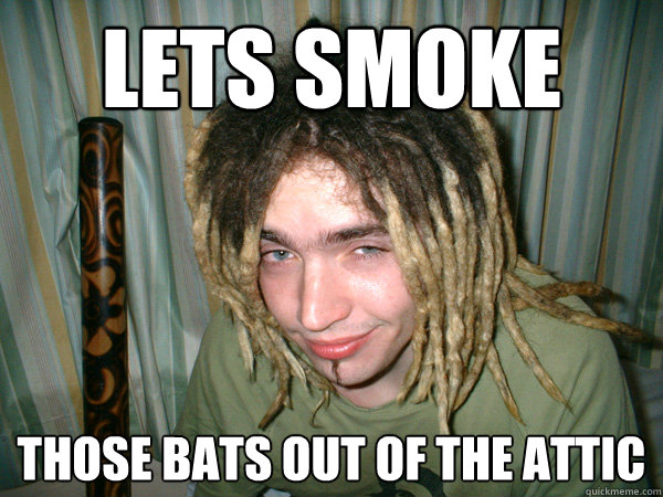 Lets smoke those bats out of the attic  