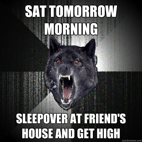 SAT tomorrow morning Sleepover at friend's house and get high - SAT tomorrow morning Sleepover at friend's house and get high  Insanity Wolf