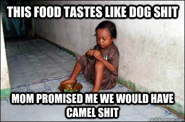 this food tastes like dog shit mom promised me we would have camel shit  