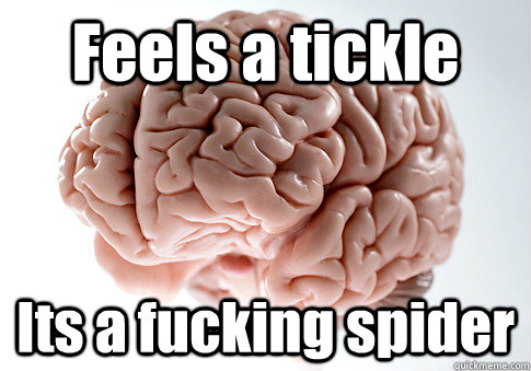 Feels a tickle Its a fucking spider   Scumbag Brain