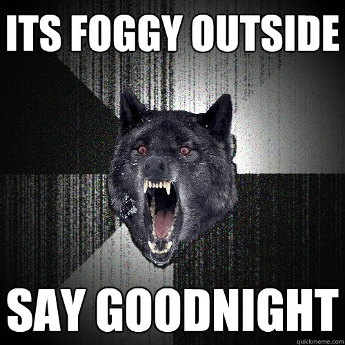 Its foggy outside say goodnight  Insanity Wolf