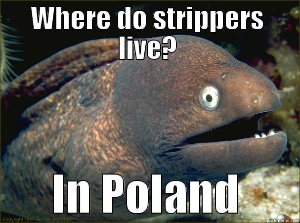 WHERE DO STRIPPERS LIVE? IN POLAND Bad Joke Eel