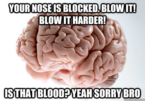 Your nose is blocked. Blow it! blow it harder! Is that blood? Yeah sorry bro  Scumbag Brain