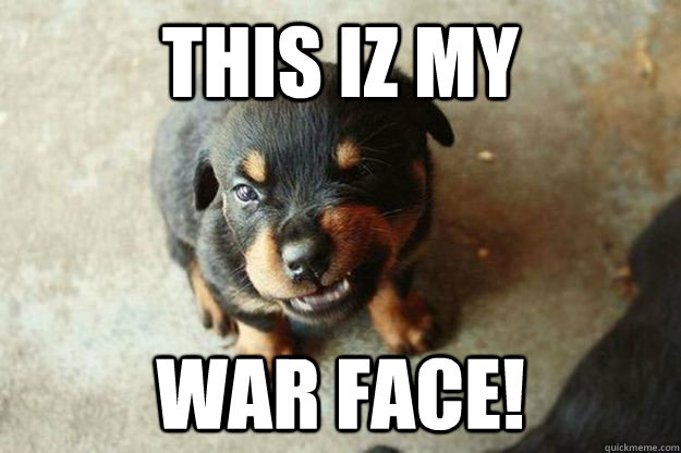 this iz my war face! - this iz my war face!  mean puppy