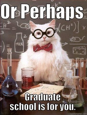 OR PERHAPS  GRADUATE SCHOOL IS FOR YOU. Chemistry Cat