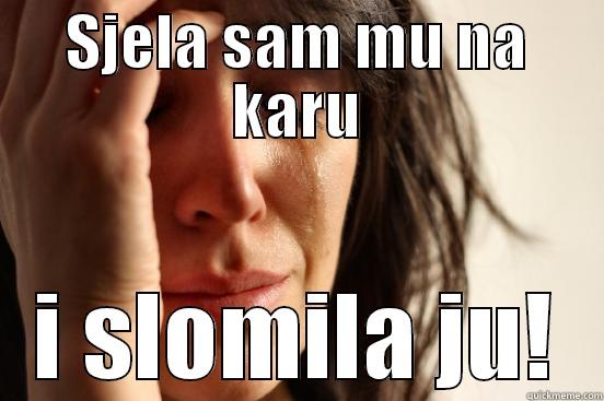 Solmila i plakala - SJELA SAM MU NA KARU I SLOMILA JU! First World Problems