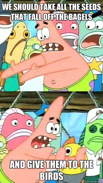 we should take all the seeds that fall off the bagels and give them to the birds  Push it somewhere else Patrick