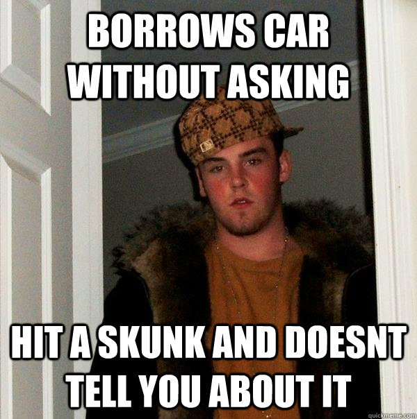 Borrows car without asking hit a skunk and doesnt tell you about it  Scumbag Steve