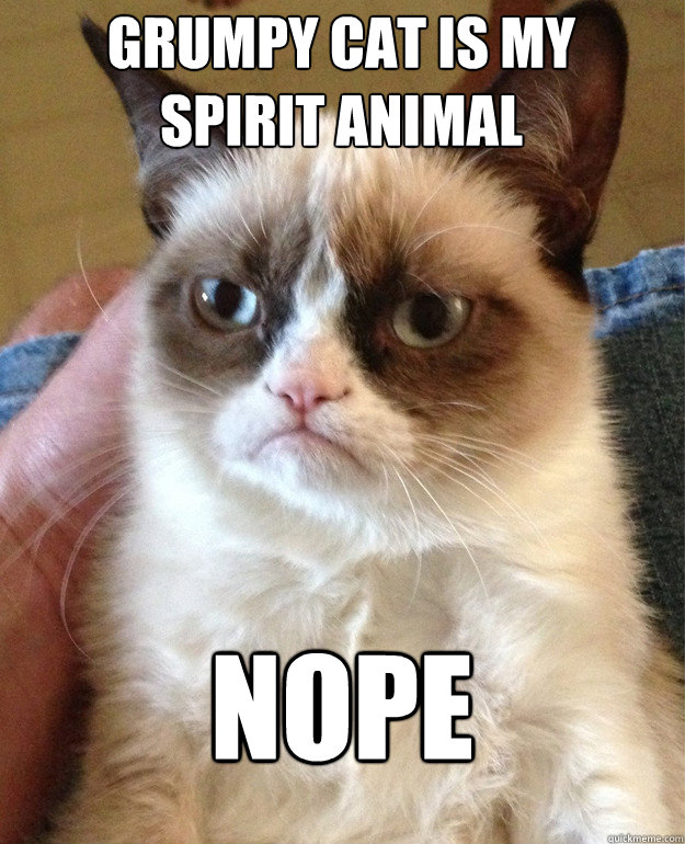 grumpy cat is my
spirit animal nope  Grumpy Cat