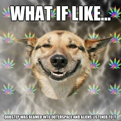 What if like... dubstep was beamed into outerspace and aliens listened to it  Stoner Dog