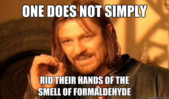 One Does Not Simply rid their hands of the 
smell of formaldehyde - One Does Not Simply rid their hands of the 
smell of formaldehyde  Boromir