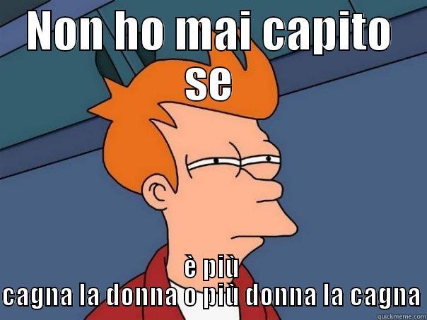 la donna - NON HO MAI CAPITO SE È PIÙ CAGNA LA DONNA O PIÙ DONNA LA CAGNA Futurama Fry