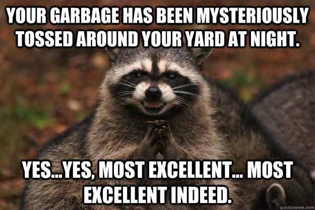 Your garbage has been mysteriously tossed around your yard at night.  Yes...Yes, most excellent... most excellent indeed.  Evil Plotting Raccoon