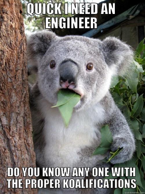 QUICK I NEED AN ENGINEER DO YOU KNOW ANY ONE WITH THE PROPER KOALIFICATIONS koala bear