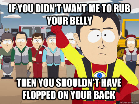 if you didn't want me to rub your belly Then you shouldn't have flopped on your back  Captain Hindsight