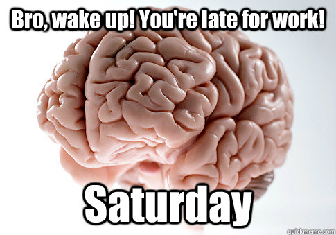 Bro, wake up! You're late for work! Saturday   Scumbag Brain