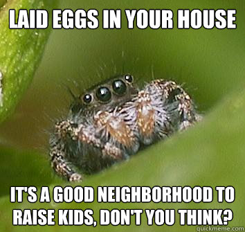 laid eggs in your house it's a good neighborhood to raise kids, don't you think?  Misunderstood Spider