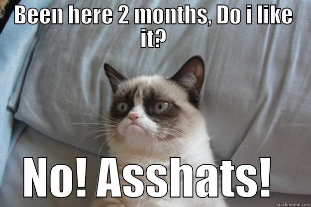 BEEN HERE 2 MONTHS, DO I LIKE IT? NO! ASSHATS!  Grumpy Cat