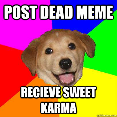 Post dead meme Recieve sweet karma  Advice Dog