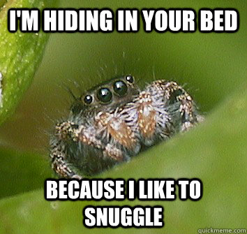 I'm hiding in your bed Because I like to snuggle - I'm hiding in your bed Because I like to snuggle  Misunderstood Spider