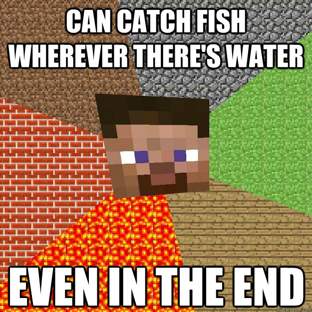 Can catch fish wherever there's water Even in the End - Can catch fish wherever there's water Even in the End  Minecraft