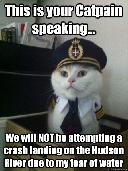 This is your Catpain speaking... We will NOT be attempting a crash landing on the Hudson River due to my fear of water - This is your Catpain speaking... We will NOT be attempting a crash landing on the Hudson River due to my fear of water  Captain kitteh