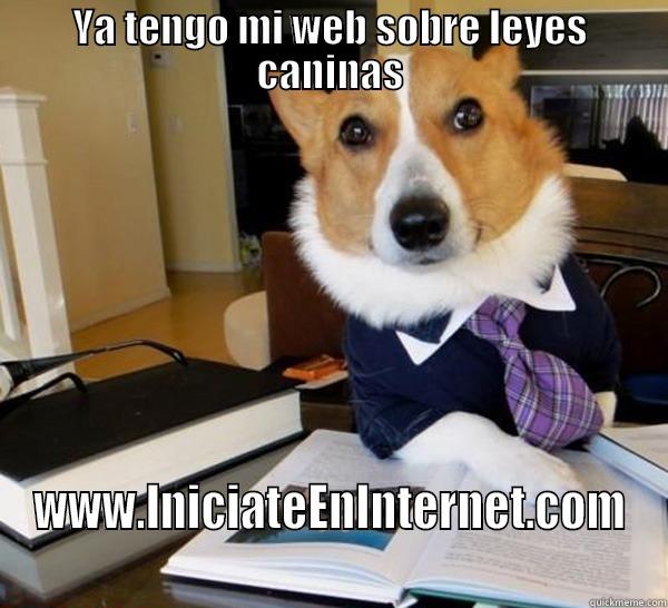 YA TENGO MI WEB SOBRE LEYES CANINAS WWW.INICIATEENINTERNET.COM Lawyer Dog