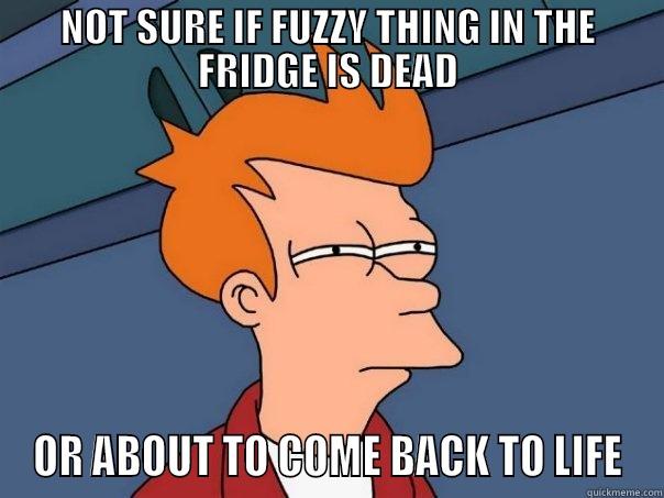 NOT SURE IF FUZZY THING IN THE FRIDGE IS DEAD OR ABOUT TO COME BACK TO LIFE Futurama Fry