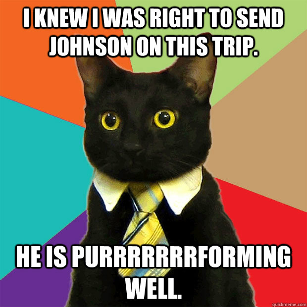 I knew I was right to send Johnson on this trip. He is purrrrrrrforming well.  Business Cat