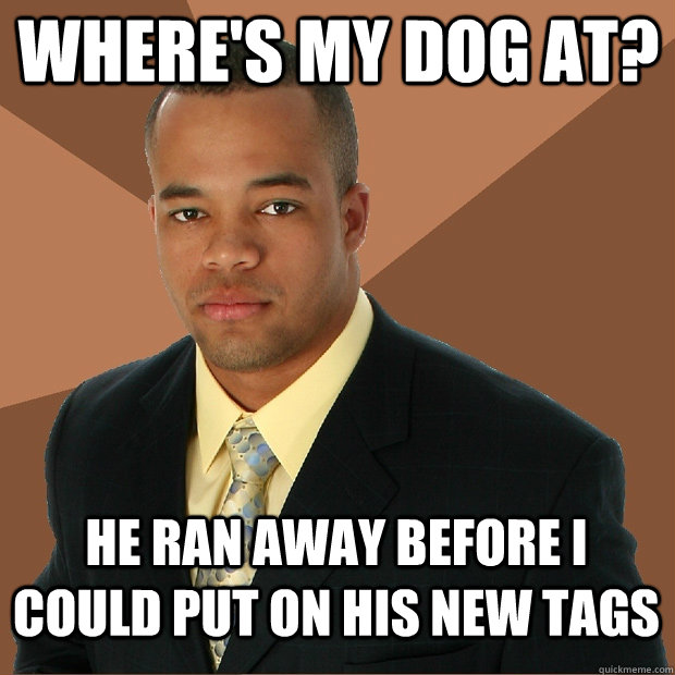 where's my dog at? he ran away before I could put on his new tags  Successful Black Man