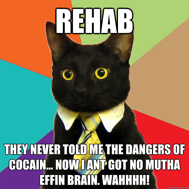 REhab they never told me the dangers of cocain... Now i ant got no mutha effin brain. WAHHHH!  Business Cat