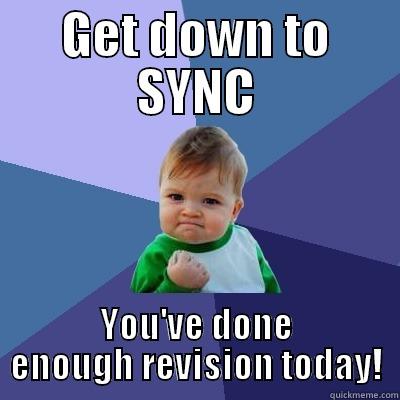 GET DOWN TO SYNC YOU'VE DONE ENOUGH REVISION TODAY! Success Kid